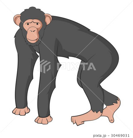Chimpanzee icon, cartoon style Chimpanzee icon, cartoon style 30469031