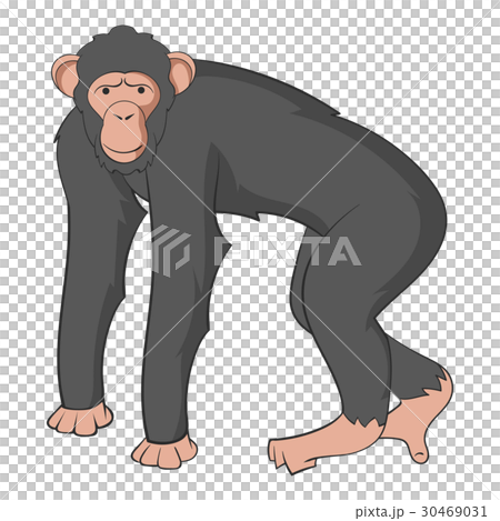 Chimpanzee icon, cartoon style Chimpanzee icon, cartoon style 30469031