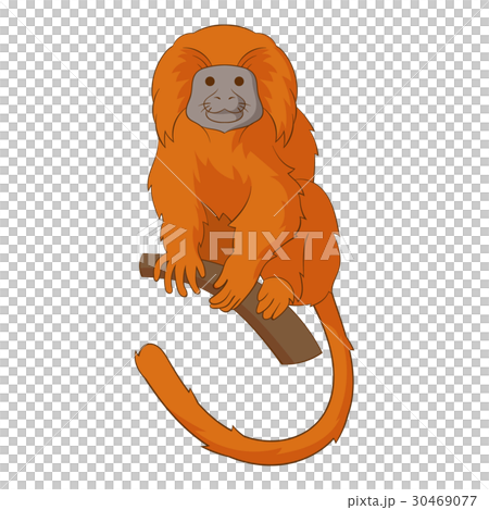 Golden lion tamarin icon, cartoon style 30469077