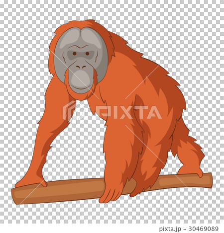 Orangutan icon, cartoon style 30469089