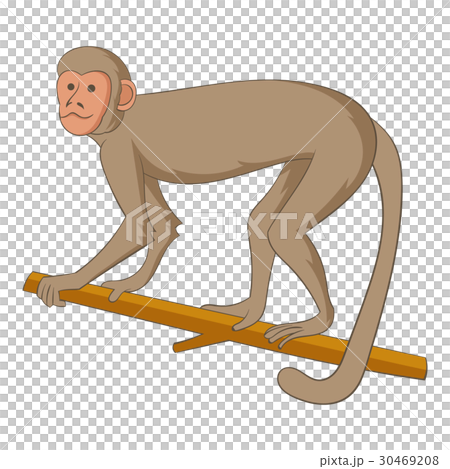 Macaque icon, cartoon style Macaque icon, cartoon style 30469208