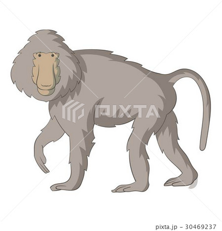 Baboons icon, cartoon style 30469237