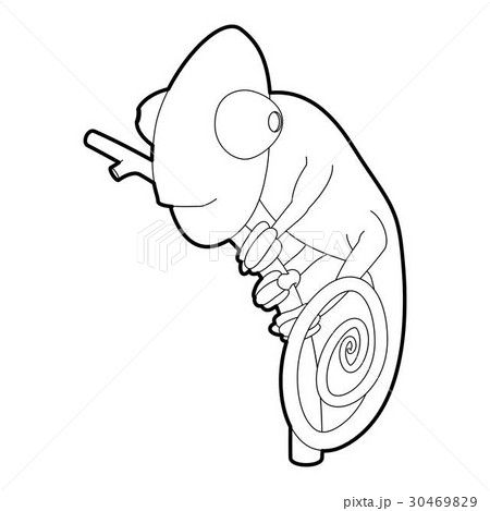 Chameleon icon, outline style Chameleon icon, outline style 30469829