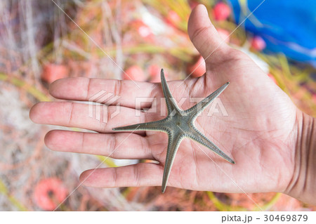 Fisherman holding natural starfish in hand 30469879