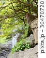 箕面の滝と猿 30470720