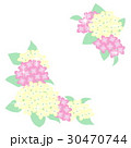 あじさいの花のイラスト 30470744