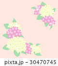 あじさいの花のイラスト 30470745