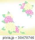 あじさいの花のイラスト 30470746