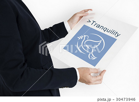 Peace Dove Symbol Pigeon Sign 30473946