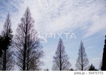 初夏の青空　休日イメージ 30475772