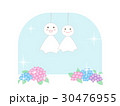 てるてる坊主のイラスト 30476955