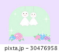 てるてる坊主のイラスト 30476958