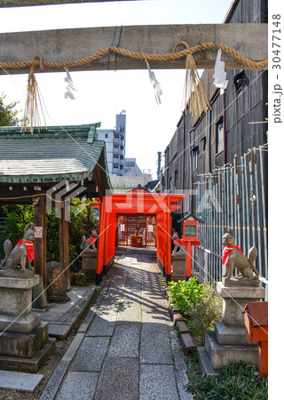 富士浅間神社 30477148