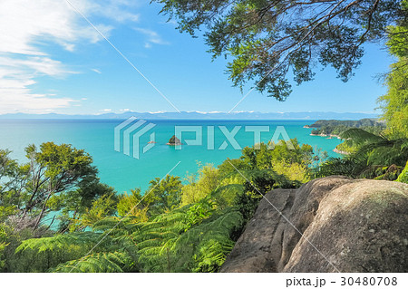 Pinnacle Island Lookout of Abel Tasman Coast Track 30480708