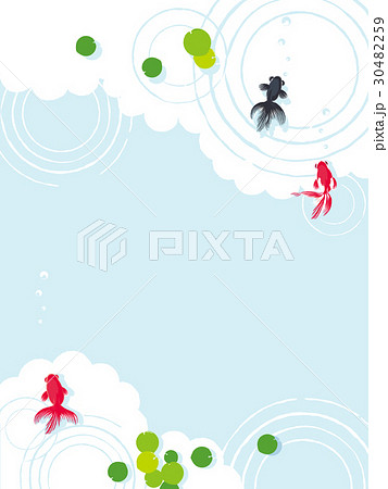 金魚　背景イラスト 30482259
