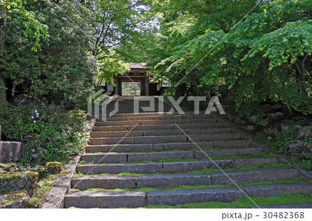 定勝禅寺 30482368