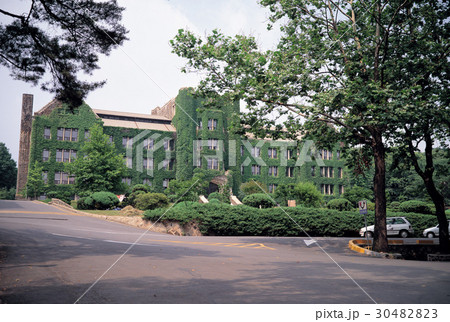 木 大学 自動車 30482823