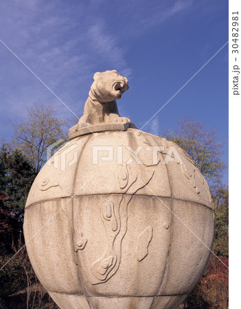 高麗 ひときれ きれ 30482981