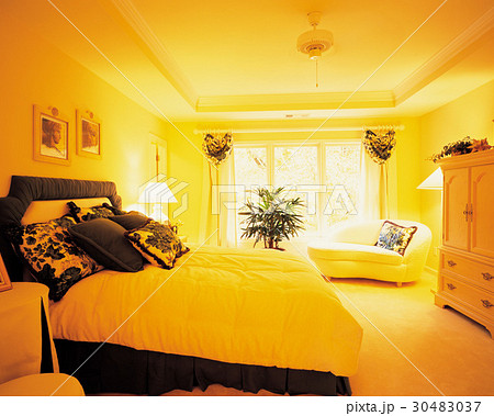 家具 建具 ベッド 30483037