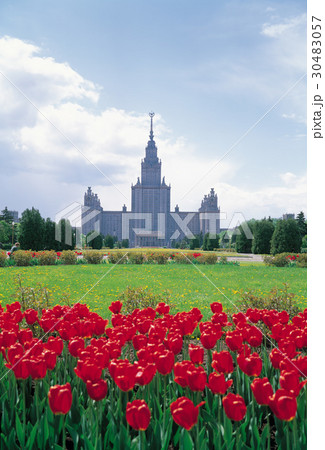 花 花畑 木 30483057