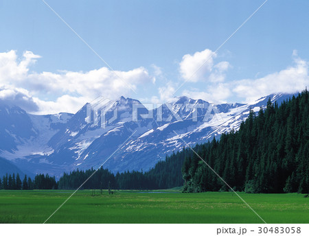 木 山 アラスカ 30483058
