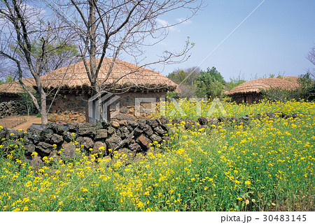 花 木 民俗村 30483145