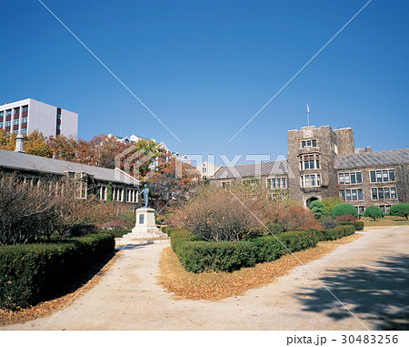 木 大学 延世大 30483256