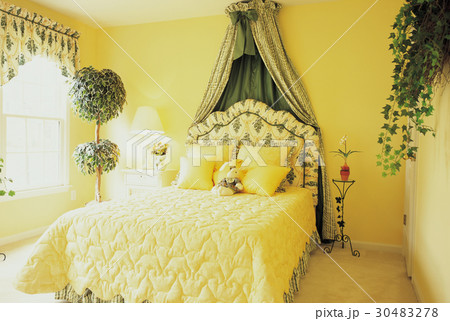 米国 西洋 アトランタ 30483278