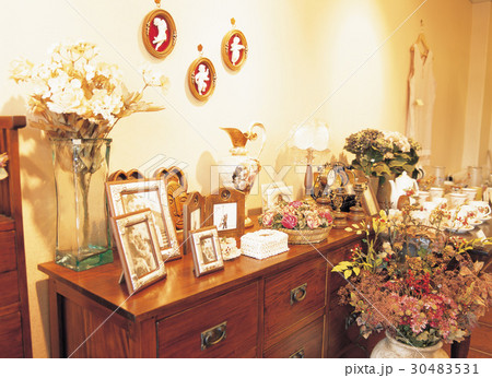 家具 花 室内 30483531