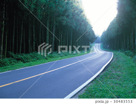 道路 車線 合成用背景の写真素材