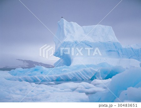 極地 南極 海 30483651