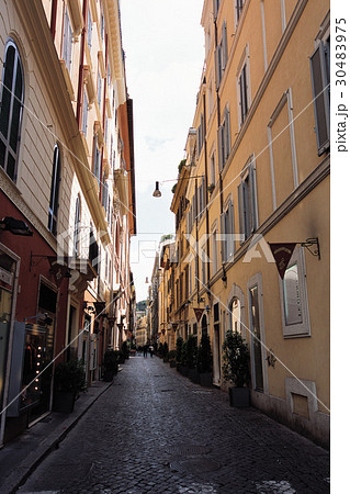 路地 木 道路 30483975