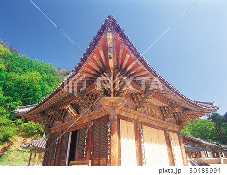 古建築 俗離山 忠清北道 30483994