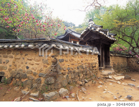 瓦屋 花 フェンス 30484005