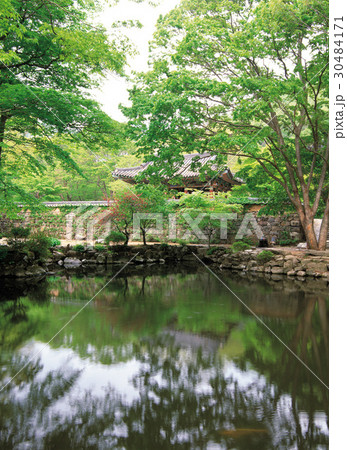 木 池 風景 30484171