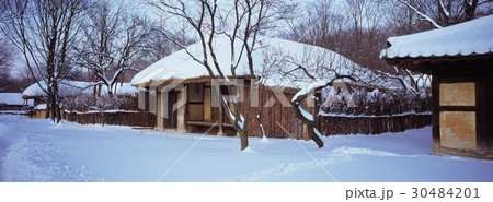 木 民俗村 雪景色 30484201