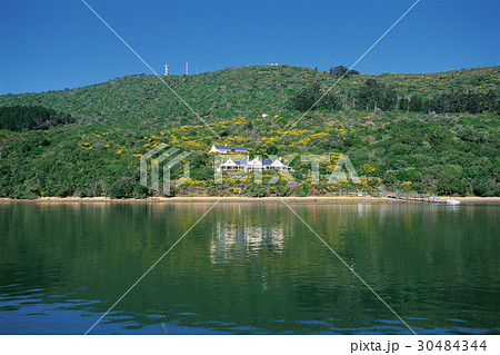 南島 ニュージーランドの ミルフォード・サウンド 30484344