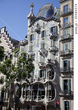 ガウディ 建築 木 30484374