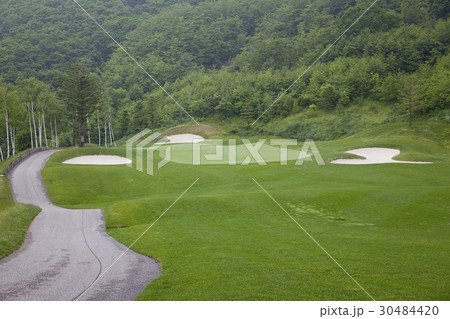 ゴルフ ゴルフ場 木 30484420