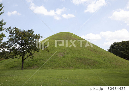 木 陵 墓 30484425