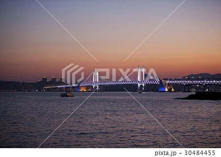 橋 海 夜景 30484455