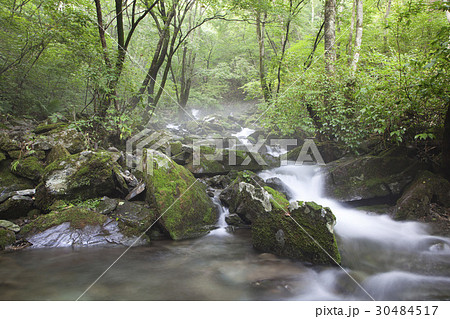 谷 木 岩 30484517