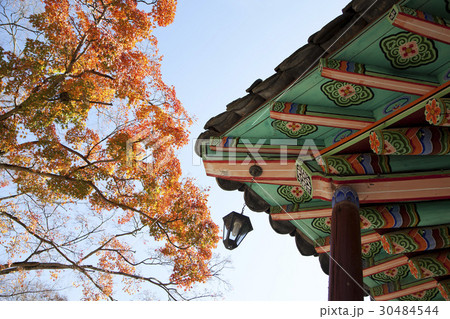 秋 南山コル韓屋村 ソウル 30484544