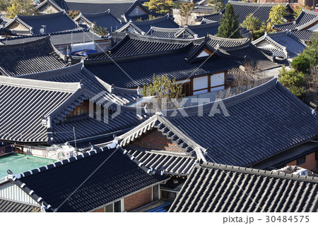 木 風景 韓国 30484575