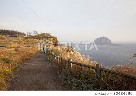 山房山 散歩 オレの道 30484590
