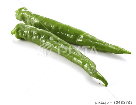 万願寺とうがらし（京野菜） 30485735