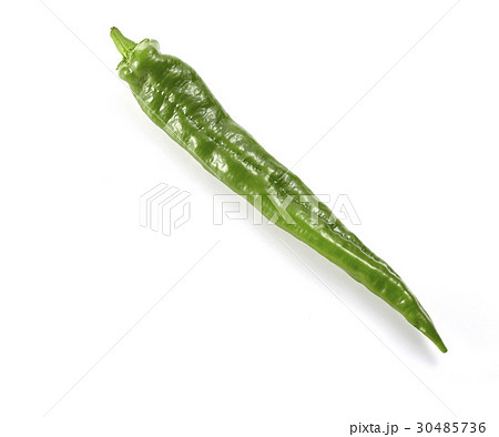 万願寺とうがらし（京野菜） 30485736