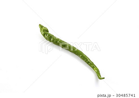 甘長唐辛子(京野菜) 甘長唐辛子(京野菜) 30485741