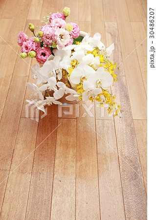 胡蝶蘭の花束 30486207