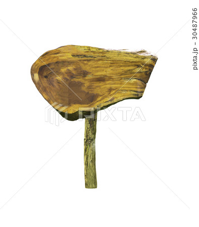 Wooden sign isolated 30487966